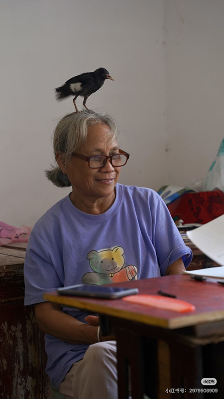 肖凤玉的鸟是女儿送的生日礼物