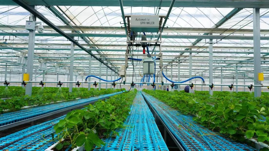 深耕陇原初心不改 奋楫笃行担当使命 ——甘肃银行十四载服务地方经济高质量发展纪实