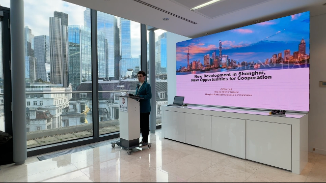 上海市商务委员会副主任周岚（摄像阿卓摄）