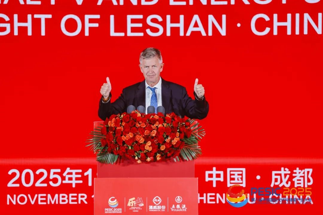 联合国前副秘书长 “一带一路”绿色发展国际联盟主席  欧盟亚洲中心联席主席埃里克·索尔海姆点赞中国光储