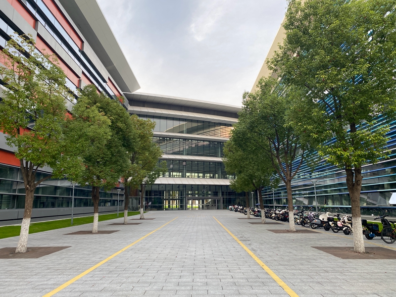 通往学术环各院系楼的道路，按无障碍标准设计建造成无高差   佟鑫摄