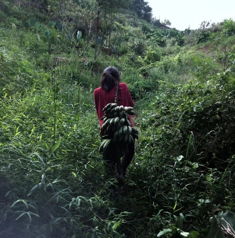 在乡间（受访人供图）