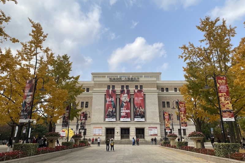 上海音乐厅南广场的银杏(佟鑫)
