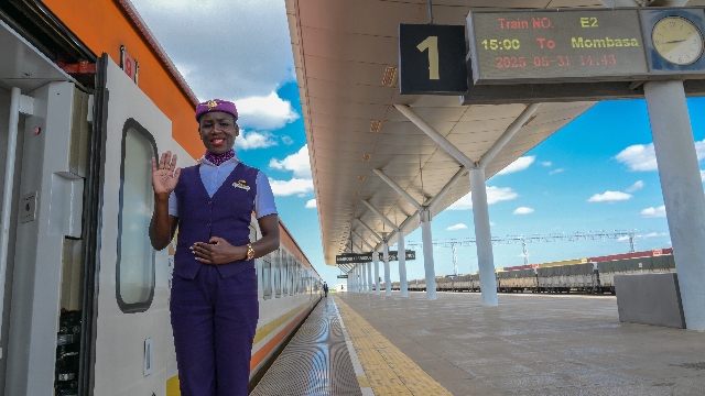 中国承建的蒙内铁路 （新华社图）