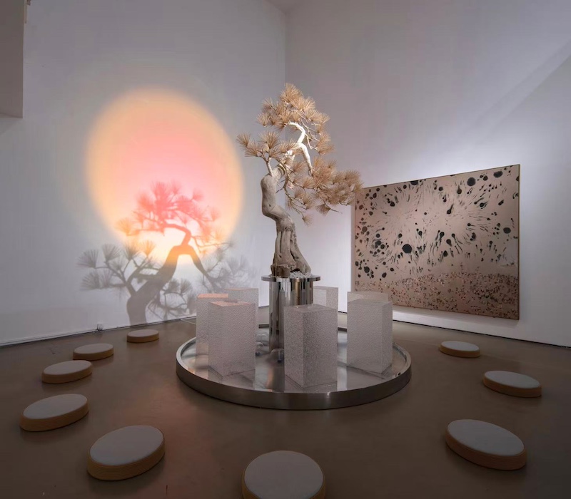 “不虚此行”生命艺术展览现场