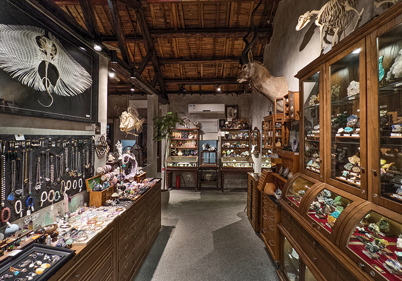 馆内展品   摄影/王晓东