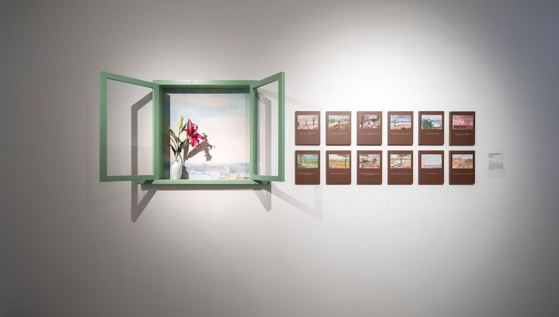 “不虚此行”生命艺术展览现场