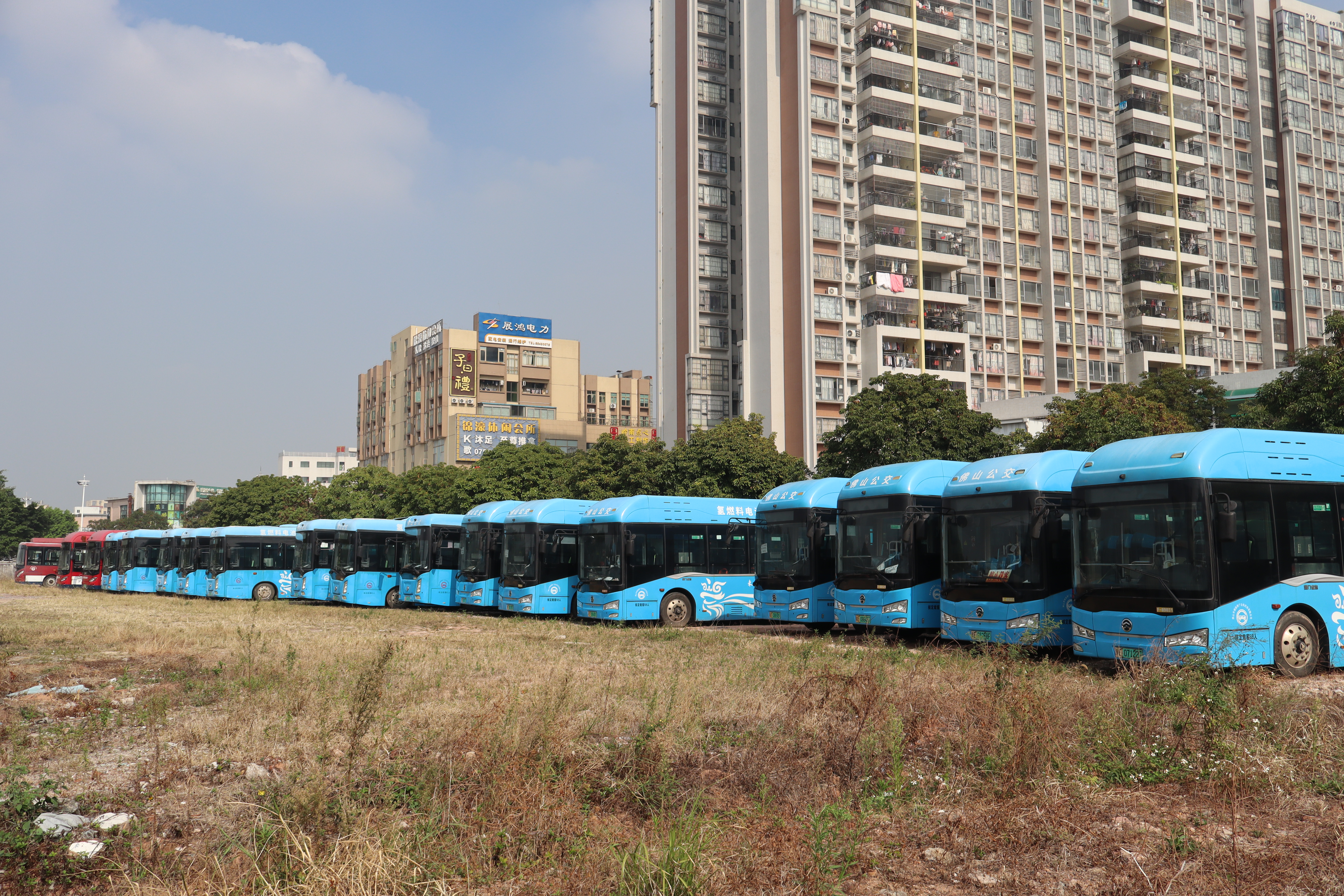 停运的氢能公交车   林春挺 摄