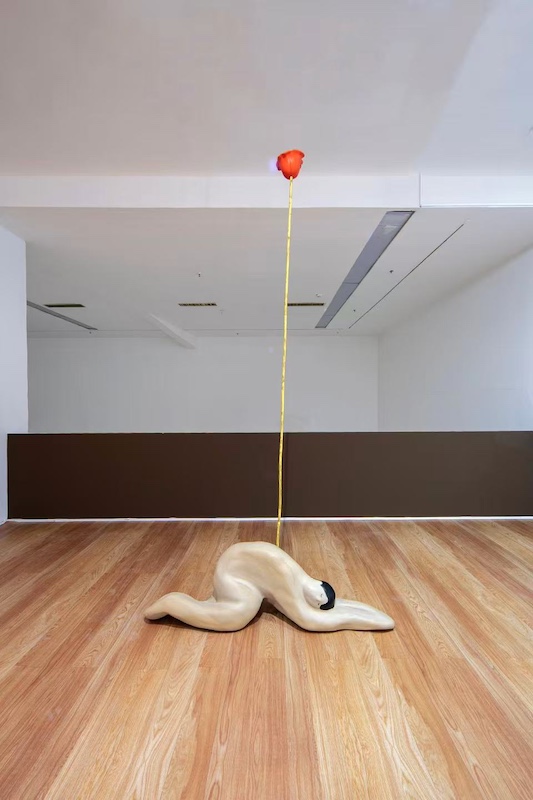 “不虚此行”生命艺术展览现场