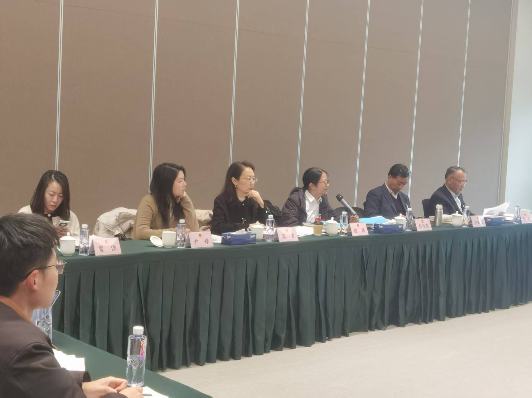 元宇宙街区所在的虹梅街道代表团分组审议政府工作场景一览