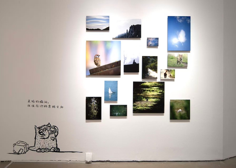 “不虚此行”生命艺术展览现场