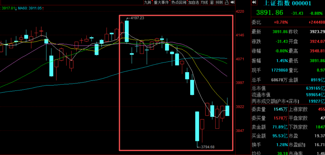 晓数点丨3月十大牛股出炉，华电辽能领跑
