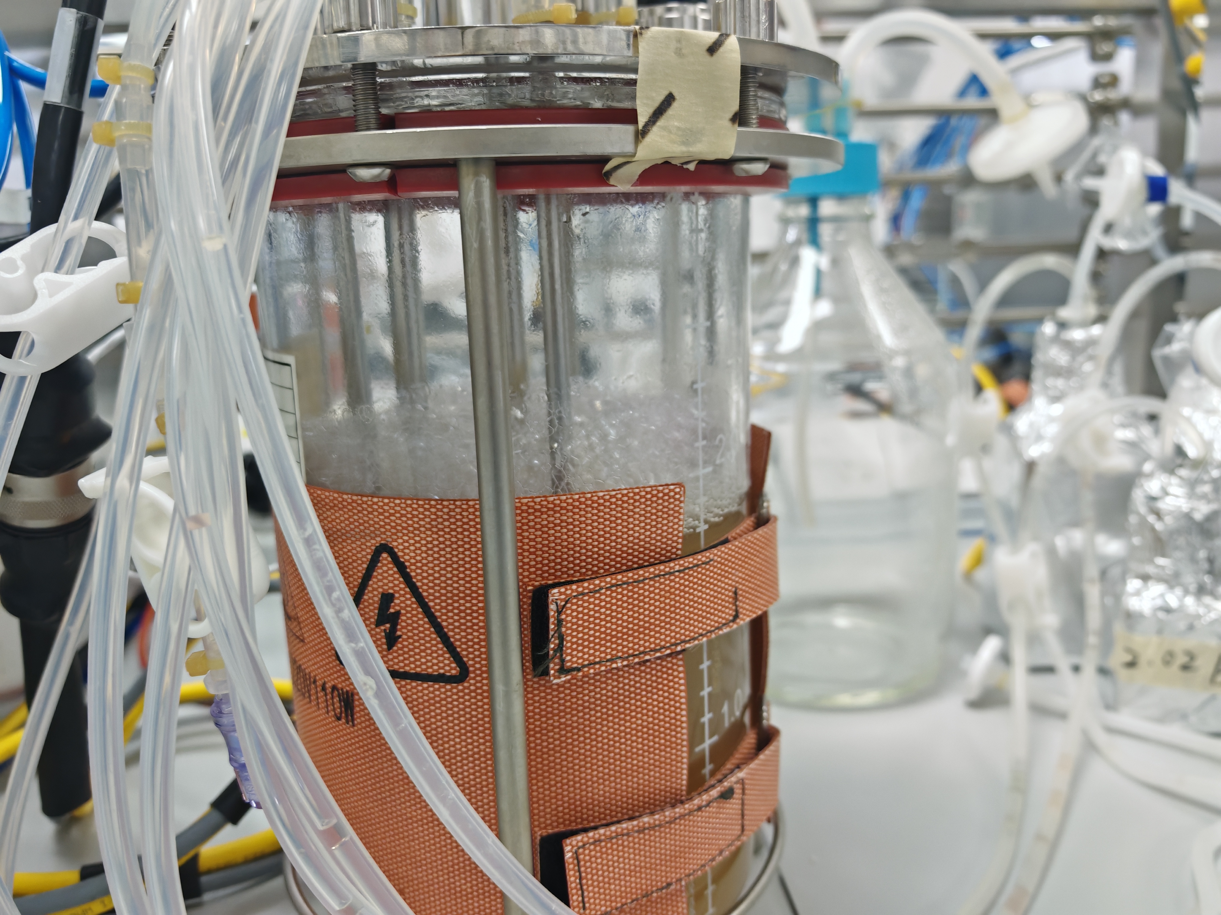 天境生物杭州实验室内的细胞培养 摄影/缪琦