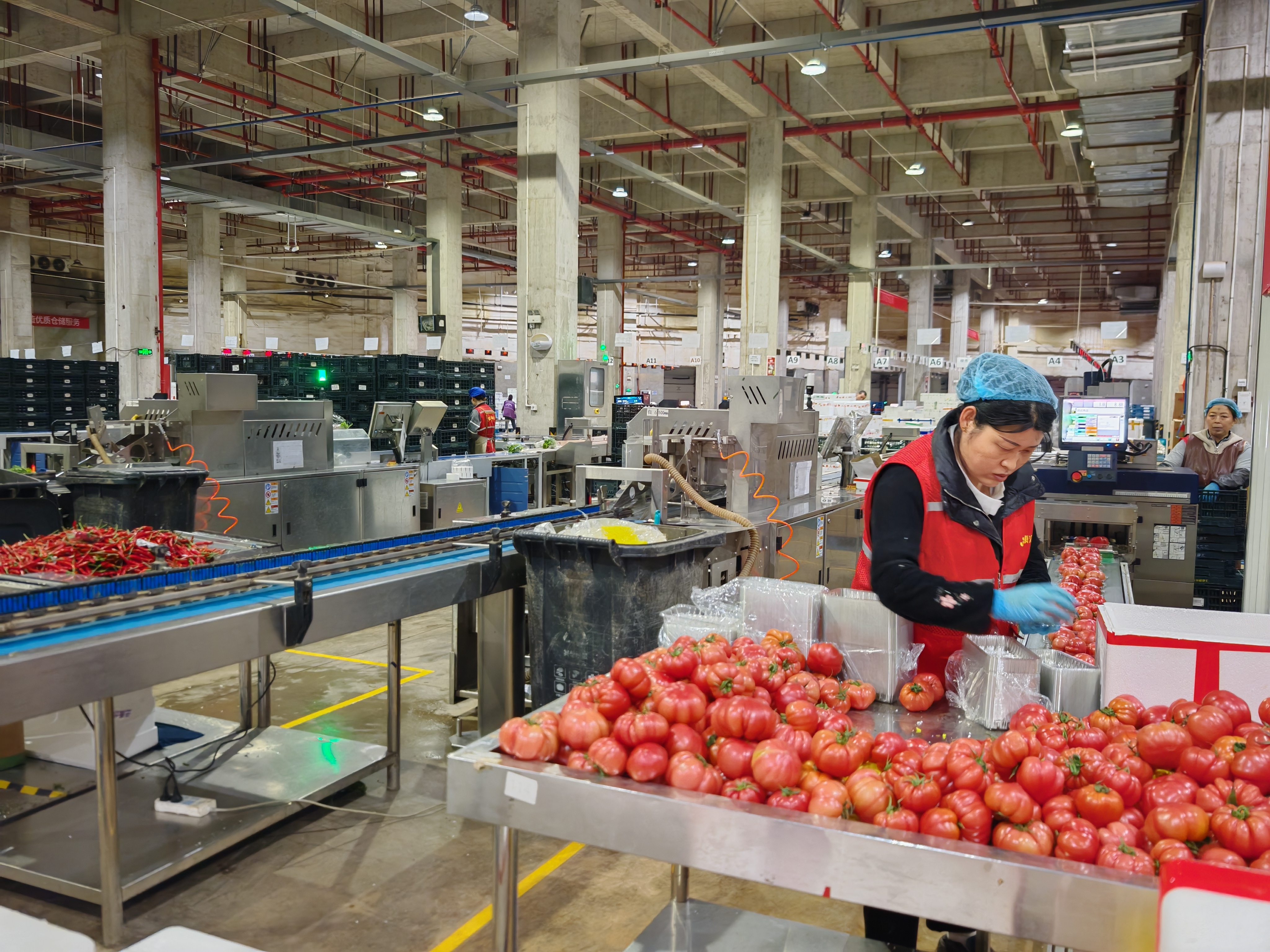 明康汇智慧物流园 摄影/缪琦