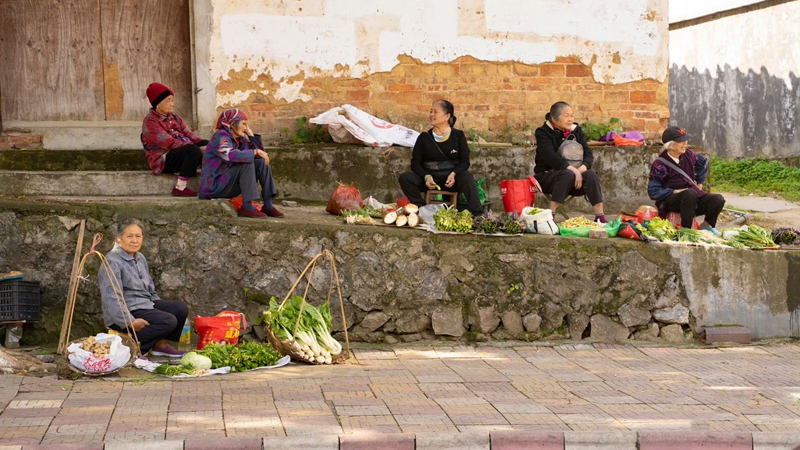 靠卖菜补贴生活的农村老人    出版社供图