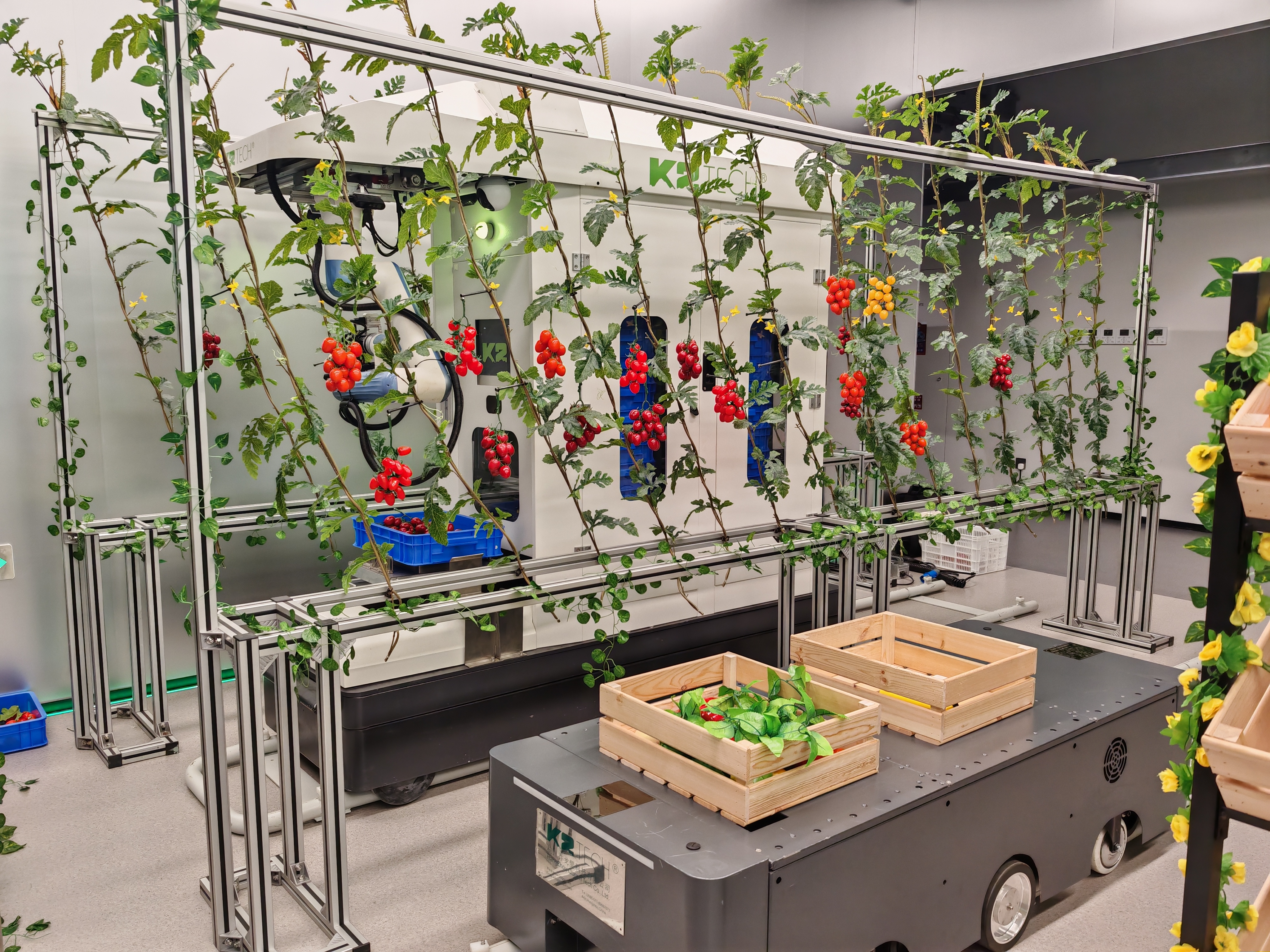 推广中心内的智能采摘机器人 摄影/缪琦