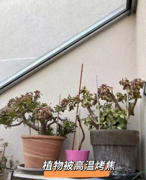 来源：采访对象提供