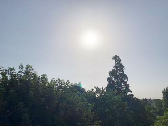 23日巴黎傍晚的太阳 （来源：赵永升教授提供）