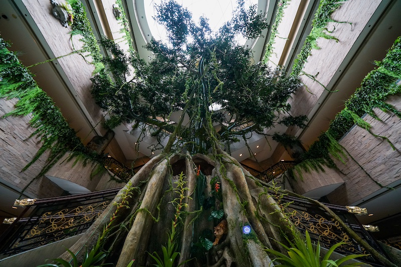 上海博物馆中庭的参天大树