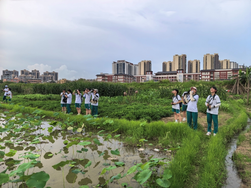 赵艳华的学生们在观鸟。彭晓玲摄