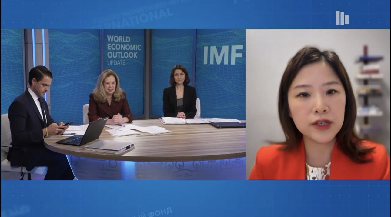 图源:IMF