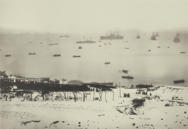 1895年1月20日，日军再荣成附近登陆的场景