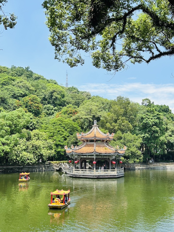 潮州西湖的树和湖心亭,是潮州人长久的记忆 受访者供图