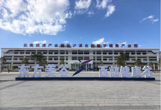 云南弥渡产业园区沪滇合作数字健康产业园。图源：“沪滇协作”微信公众号