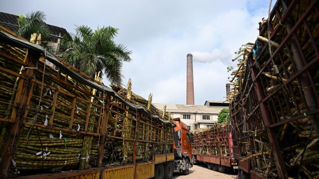 图片来源:新华社