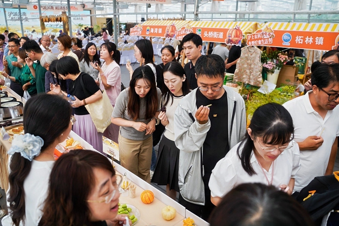 活动现场 主办方供图