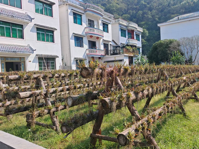 金星村。摄/第一财经记者缪琦