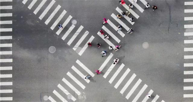 上海的秩序之美引起极度舒适