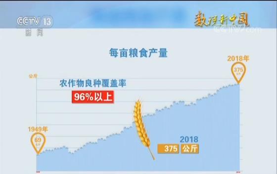 世界主要粮食种类 17257510358686141846.jpg