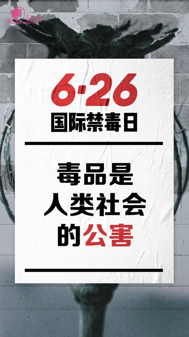 让我们今天，让我们一起向毒品说不！