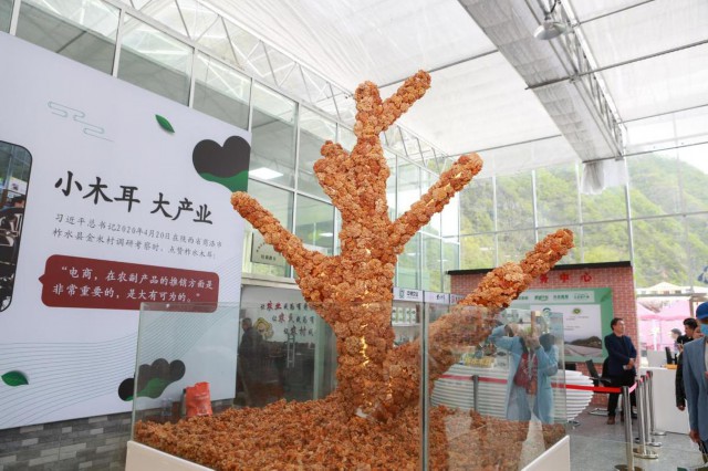 中国有约 陕西柞水金米村 小木耳已成大产业