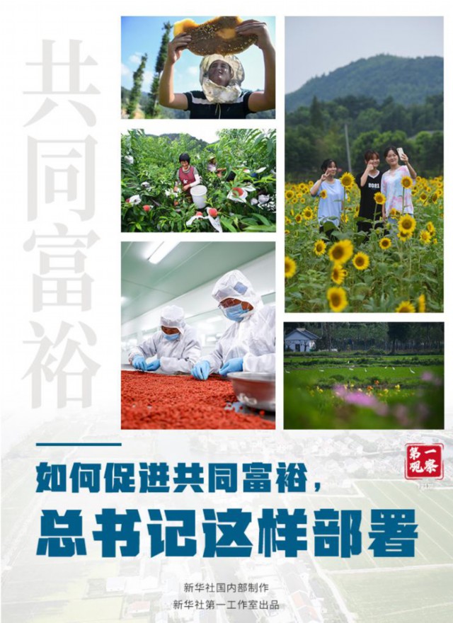 第一观察丨如何促进共同富裕 总书记这样部署