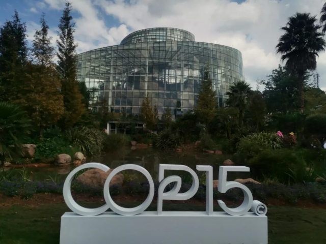 昆明 扶荔宫 带你穿越植物王国