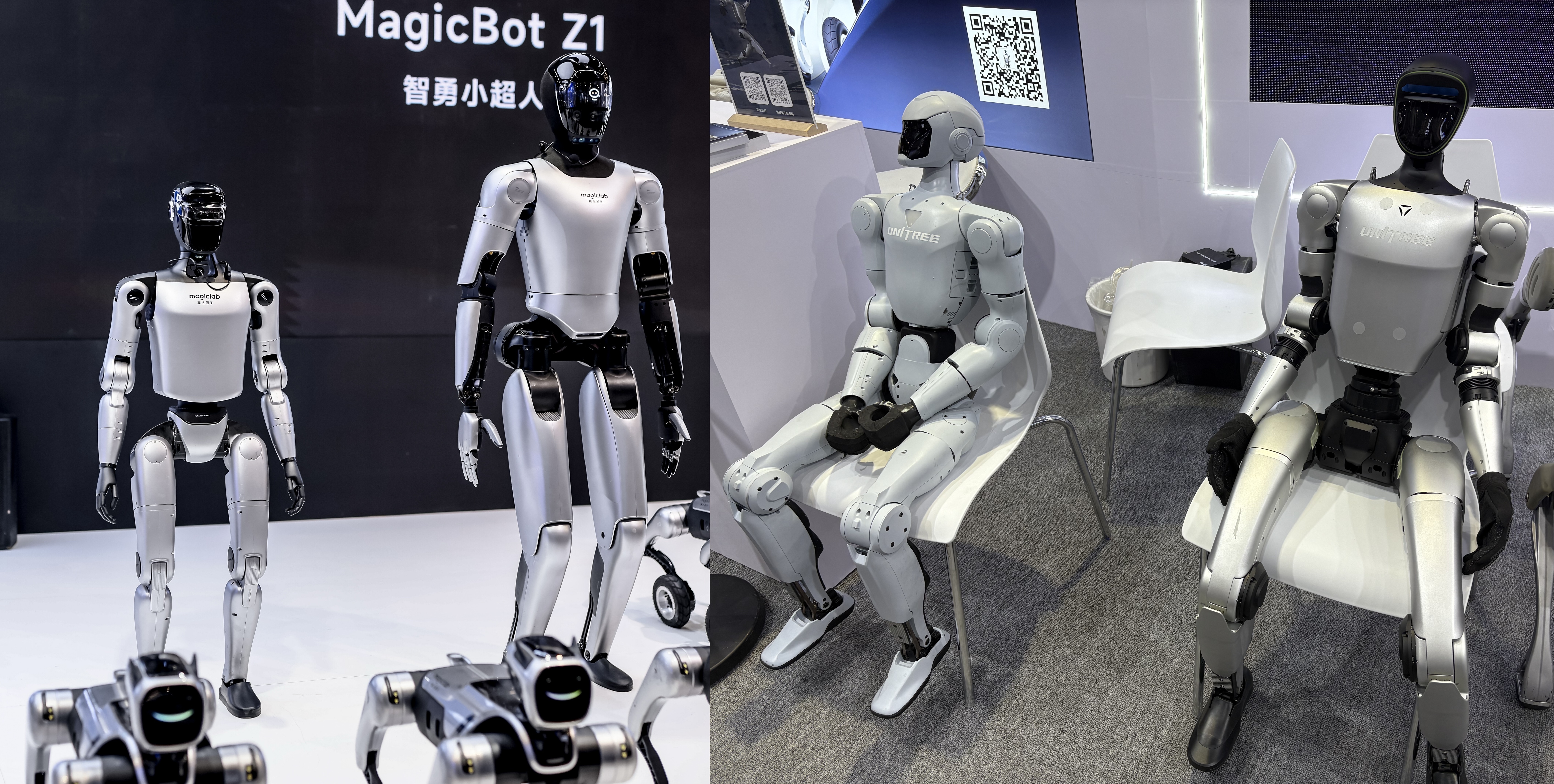 魔法原子和宇树的人形机器人产品。图片来源:乔心怡