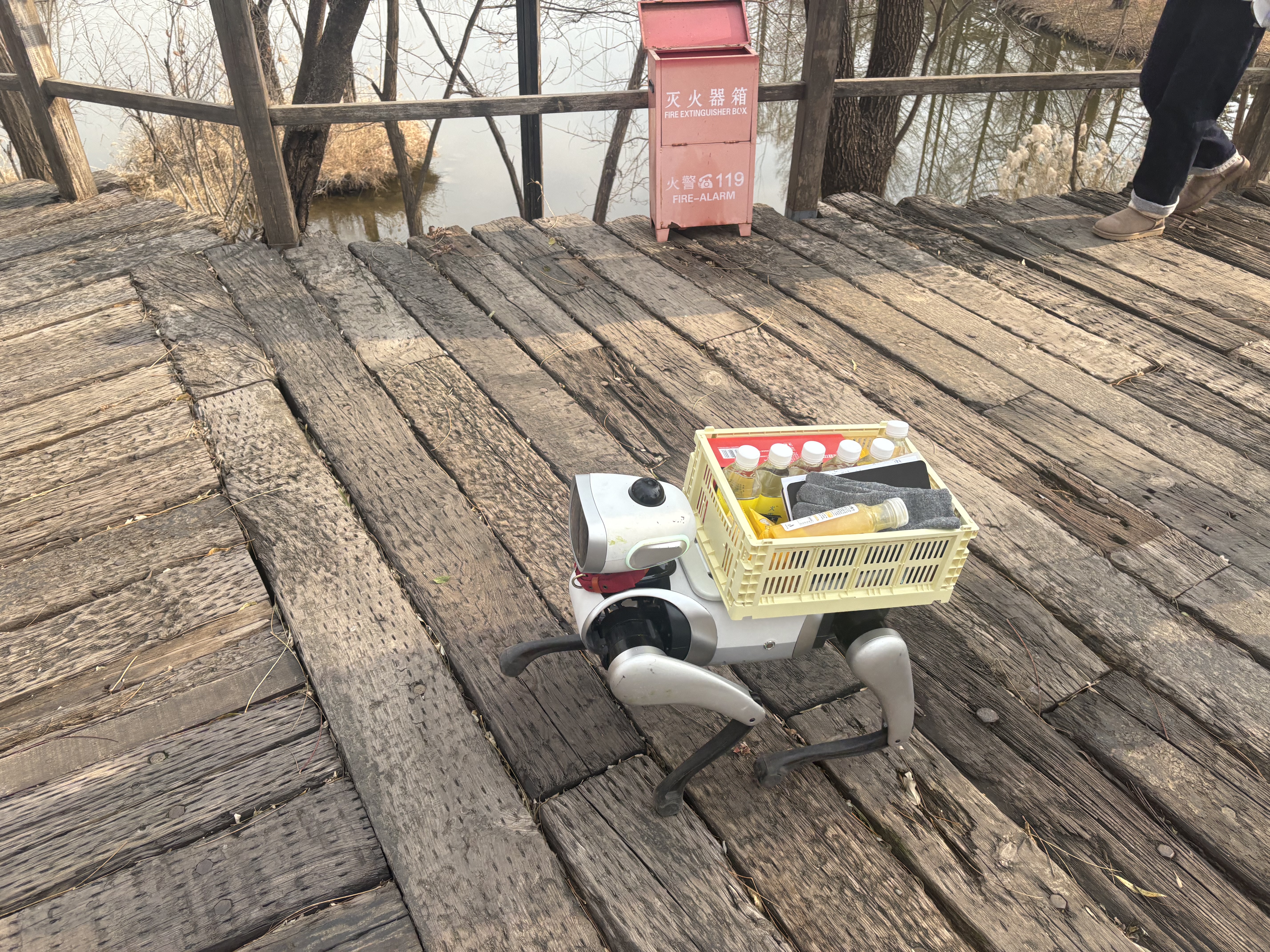 机器狗驼物前行。