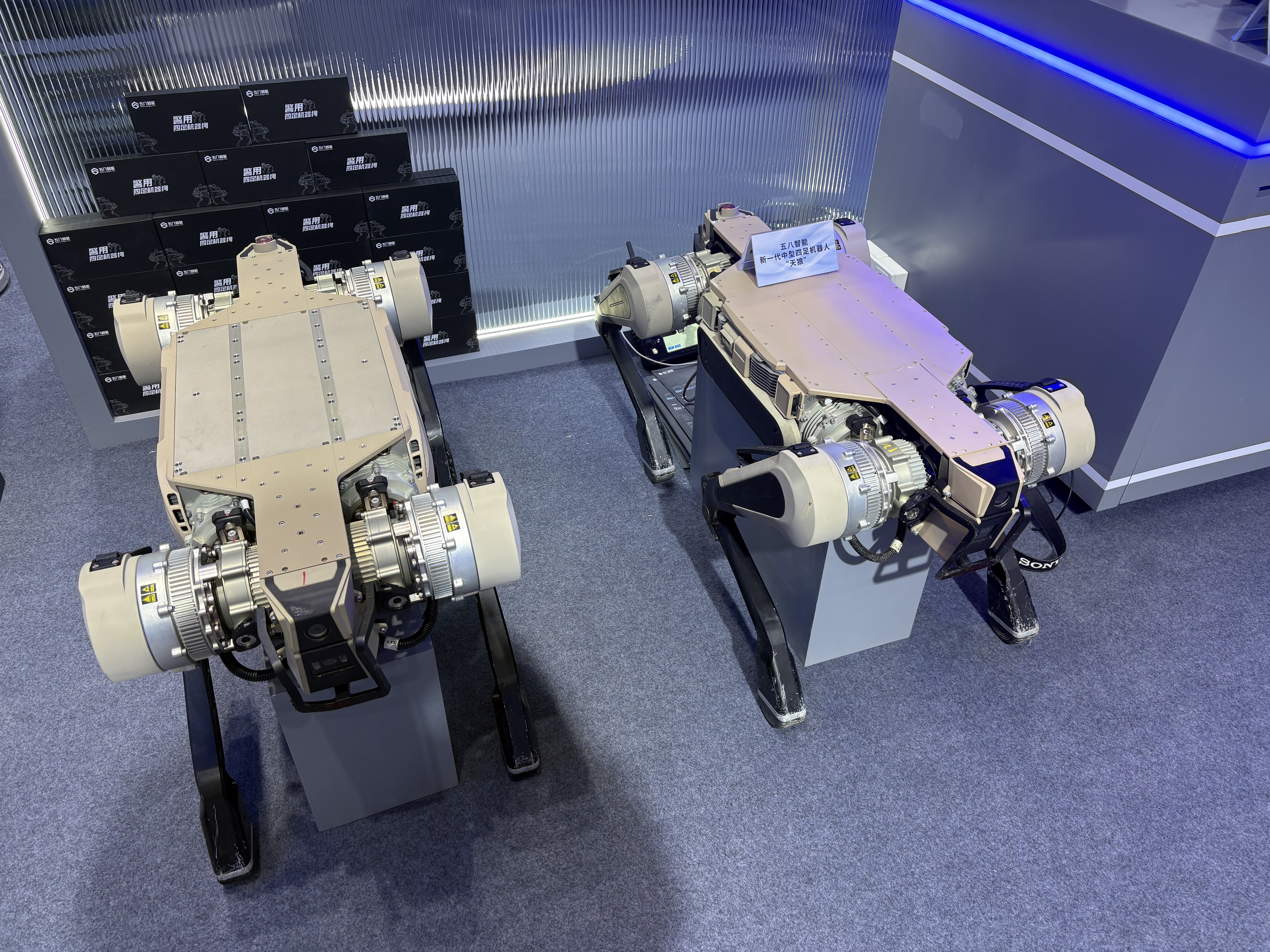 进博会现场的天狼。图片来源:乔心怡