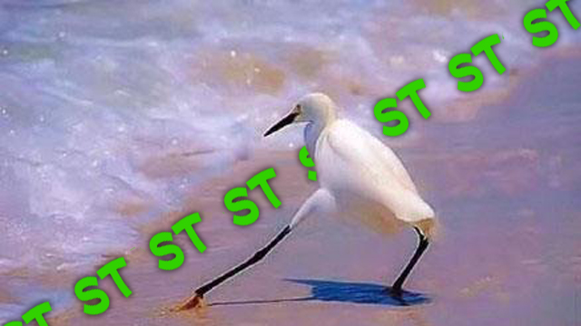 ST板块疲软,仍有游资在危险的边缘疯狂试探