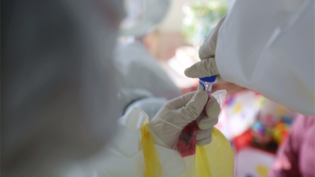 核酸检测造假GDP_核酸检测图片(3)