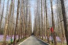 图片id7432900cf92719a4aa98e8bd3219df9c