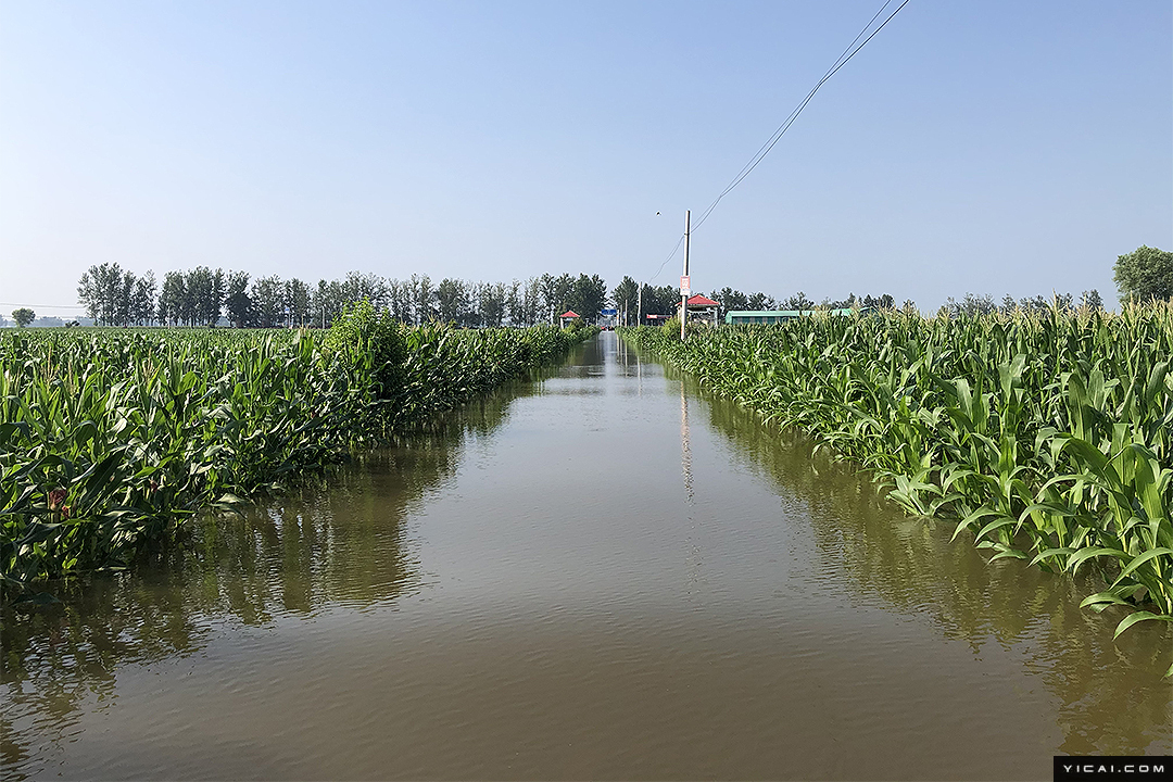 暴雨致河南浚县58.8万人受灾 记者直击泄洪转移现场