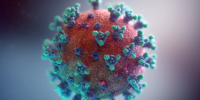 纽约州宣布全面解封 更大的挑战或在9月