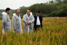 图片idd975f02867878d04577593959c8fac81