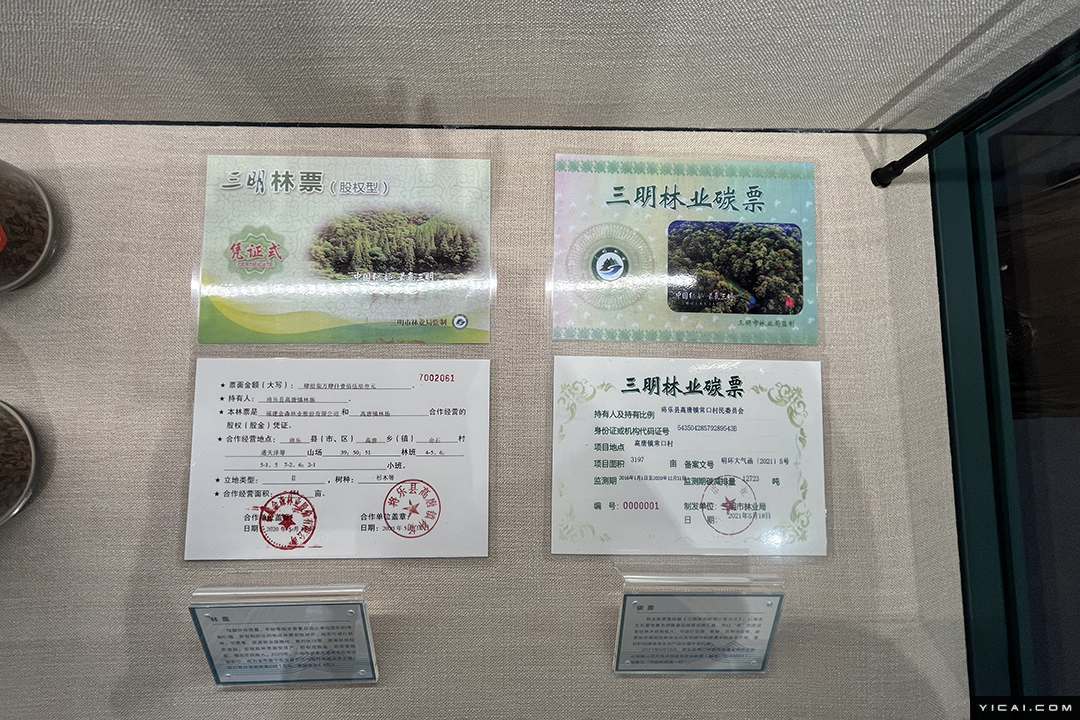 作为全国首张林业“碳票”的诞生地，常口村现今面貌如何？