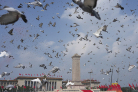图片id7077b3ede4f0482e091a6de36493db9f