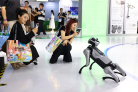 图片id7770dc815d64024951a8be35ef407214