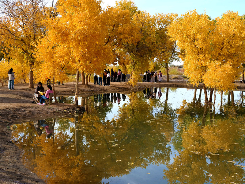 30省份三季报出炉，这个西部省份为何领跑全国？